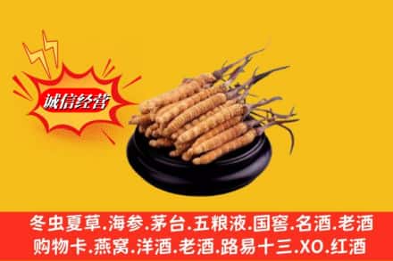 承德丰宁县名酒回收冬虫夏草.jpg